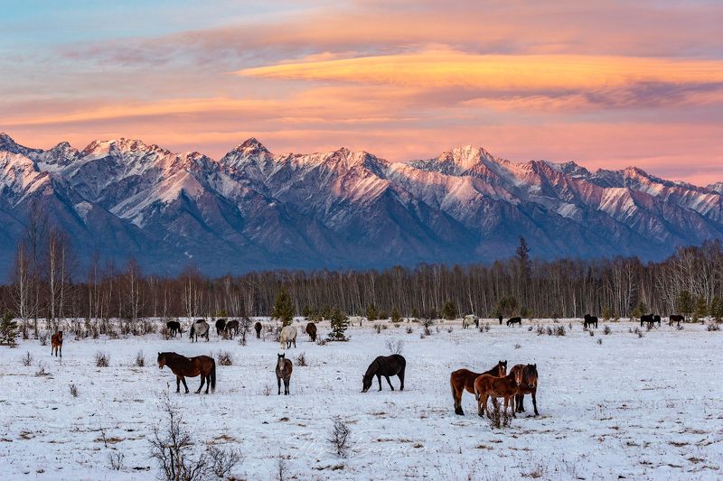 саяны Восточный Саян фото превью