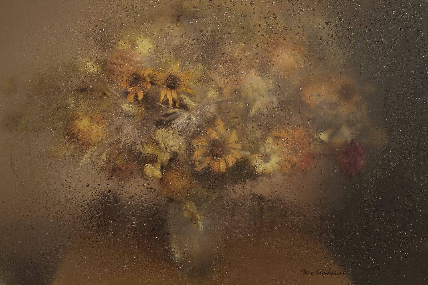 натюрморт,цветы,осень,вера павлухина,, Вера  Павлухина