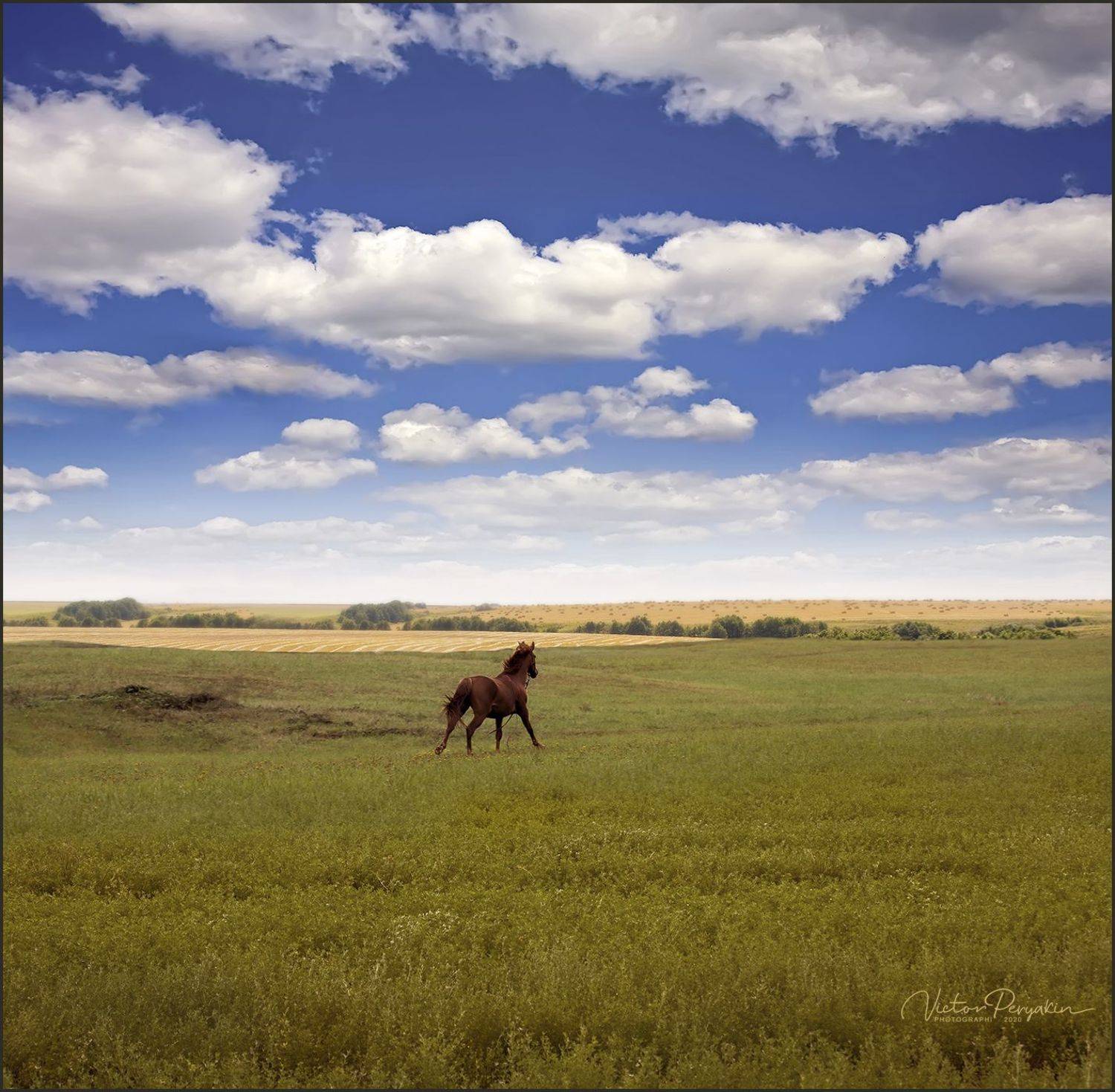 , Виктор Перякин