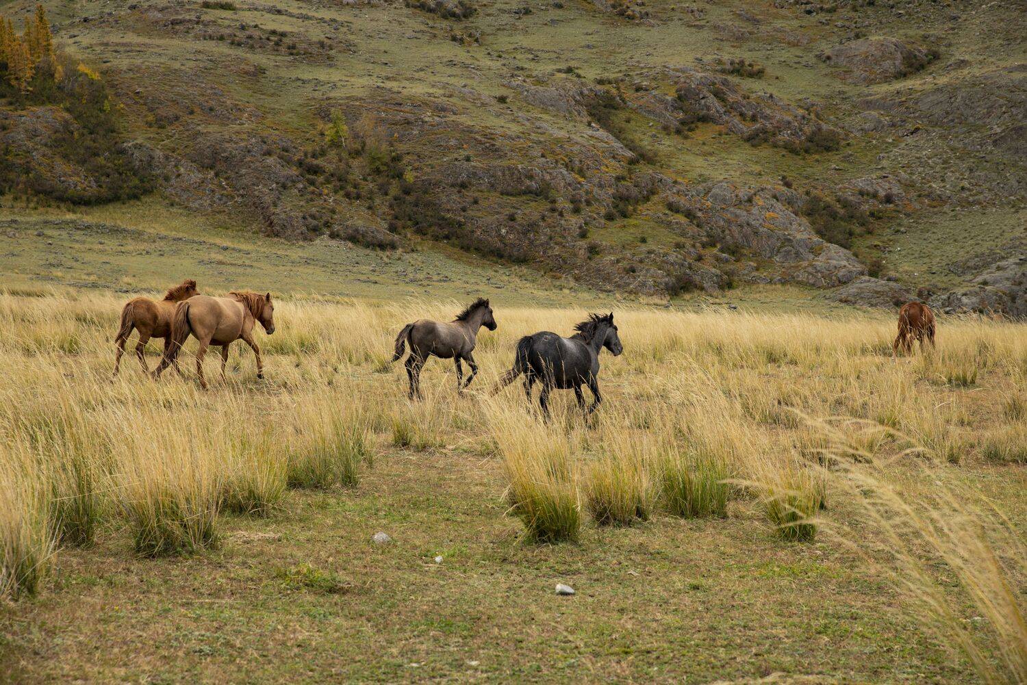 , Ольга Лукахина