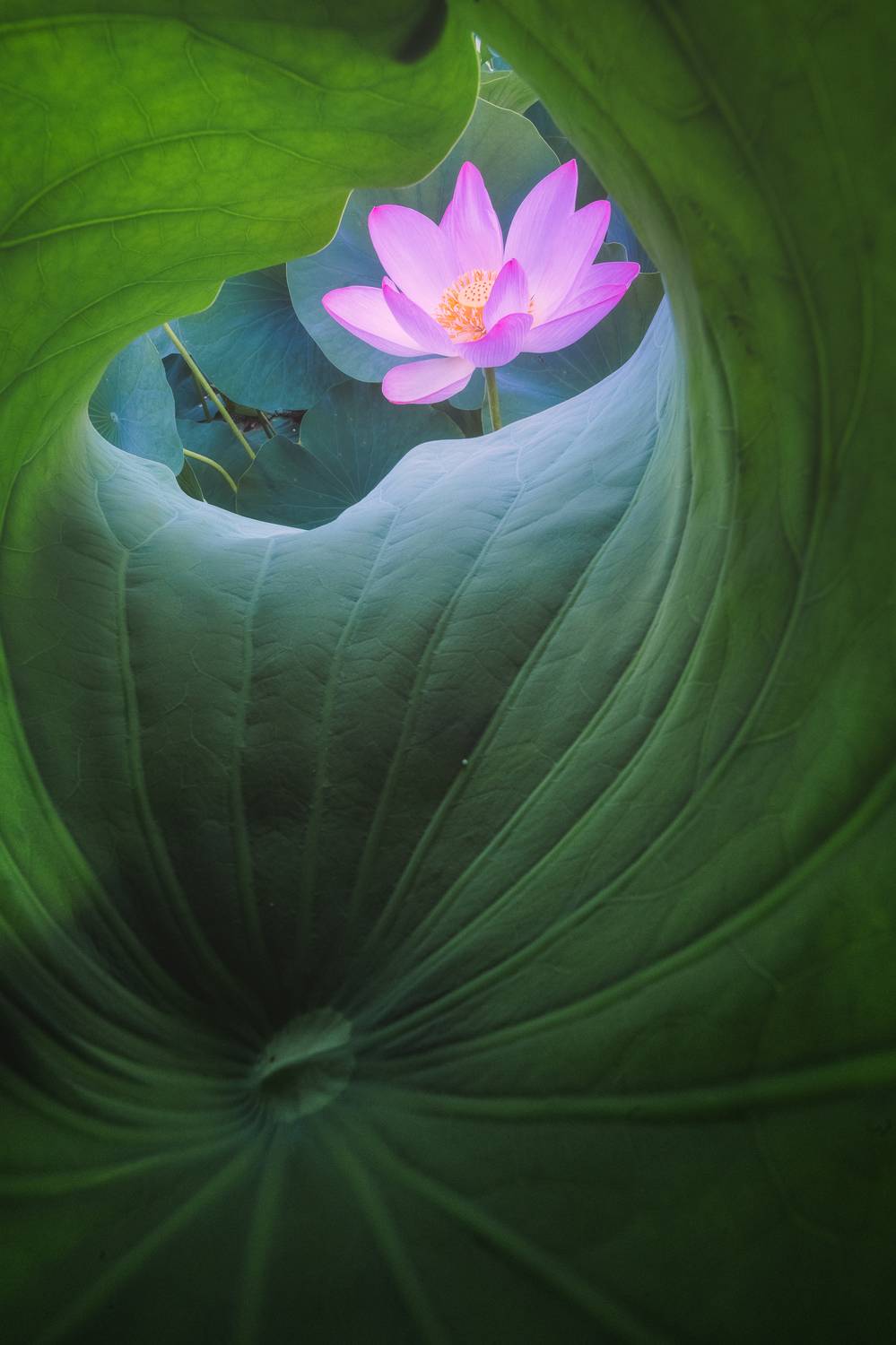 Волга, Астрахань, Даниил Коржонов