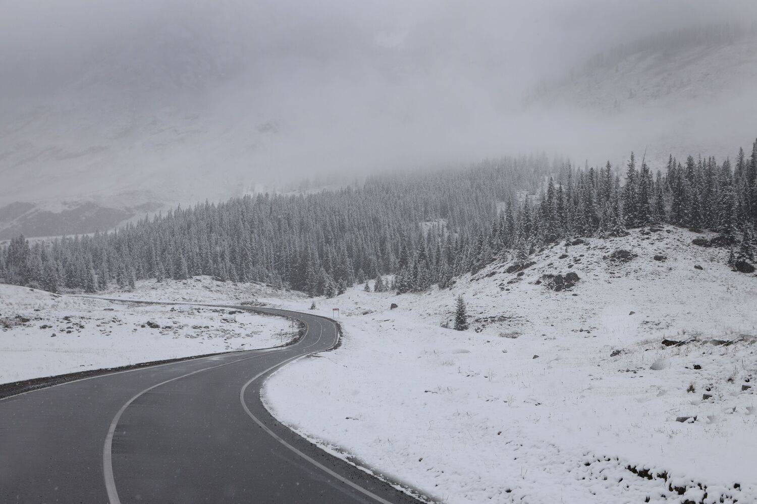 , Константин Буркин