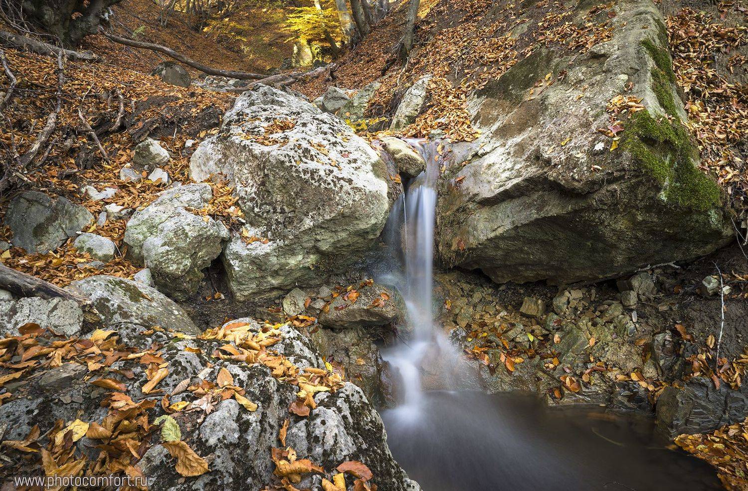 , Елена Ковригина