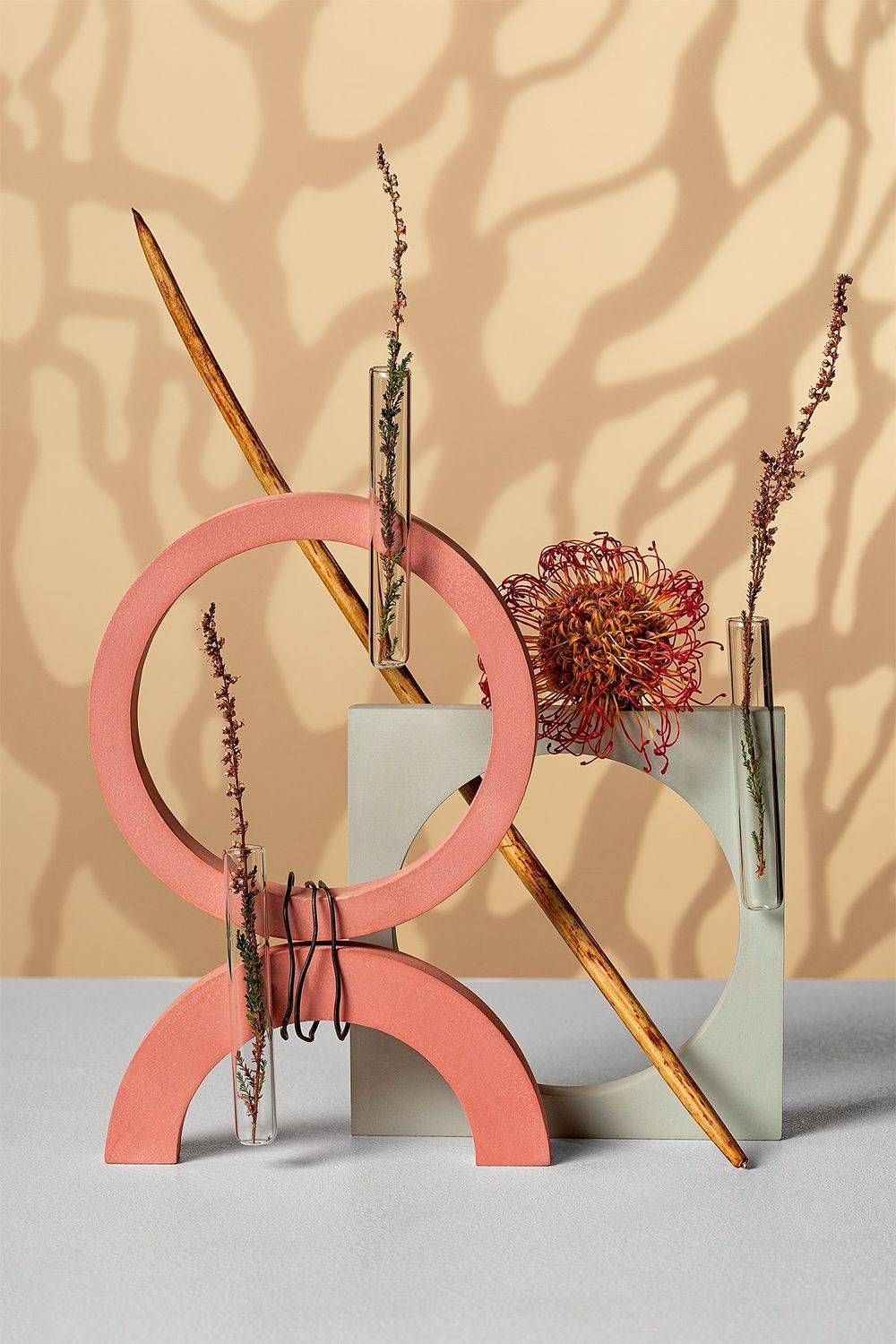 растения, геометрия, Александр Сергиенко