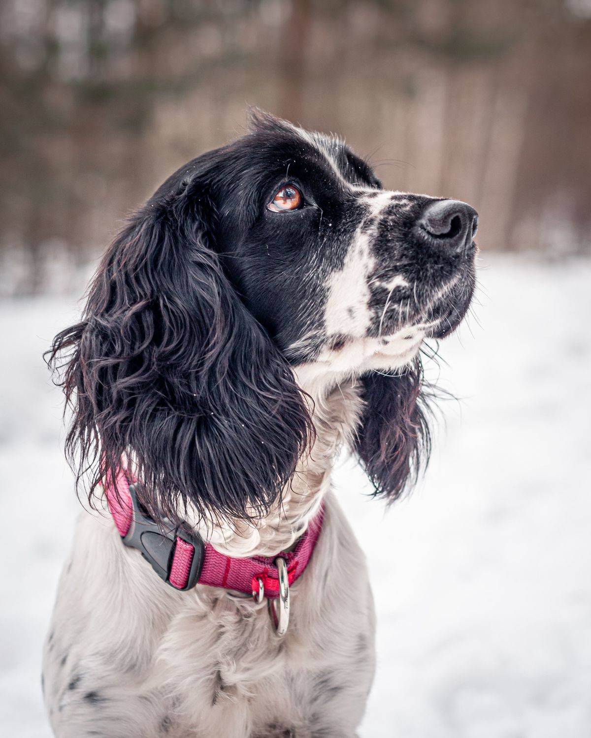 , Динара Зуйкова