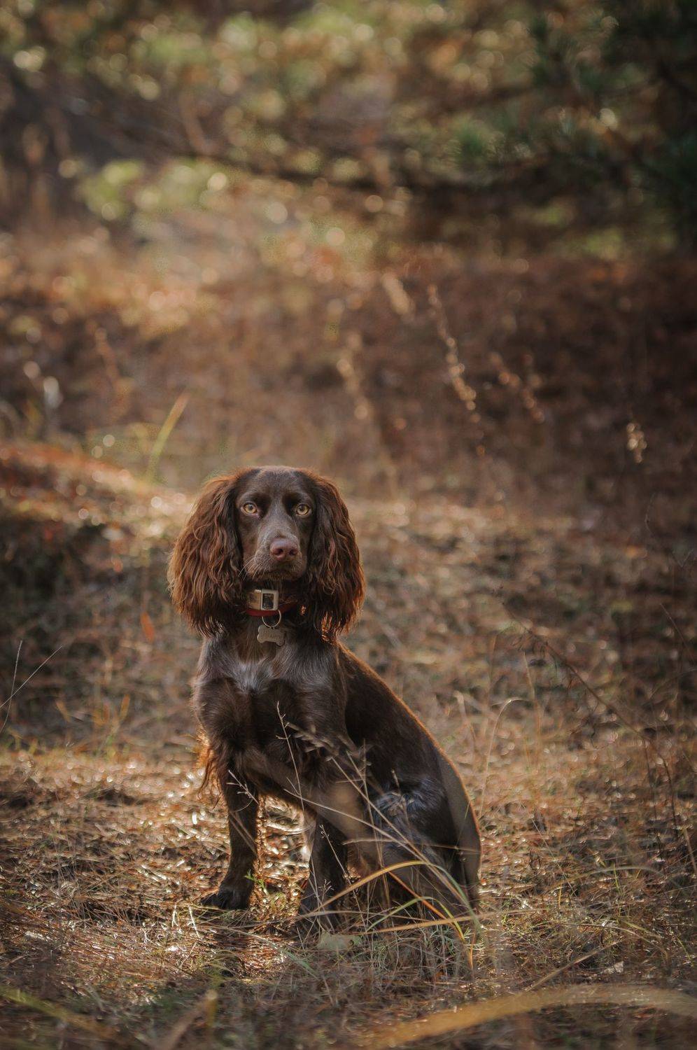 , Динара Зуйкова