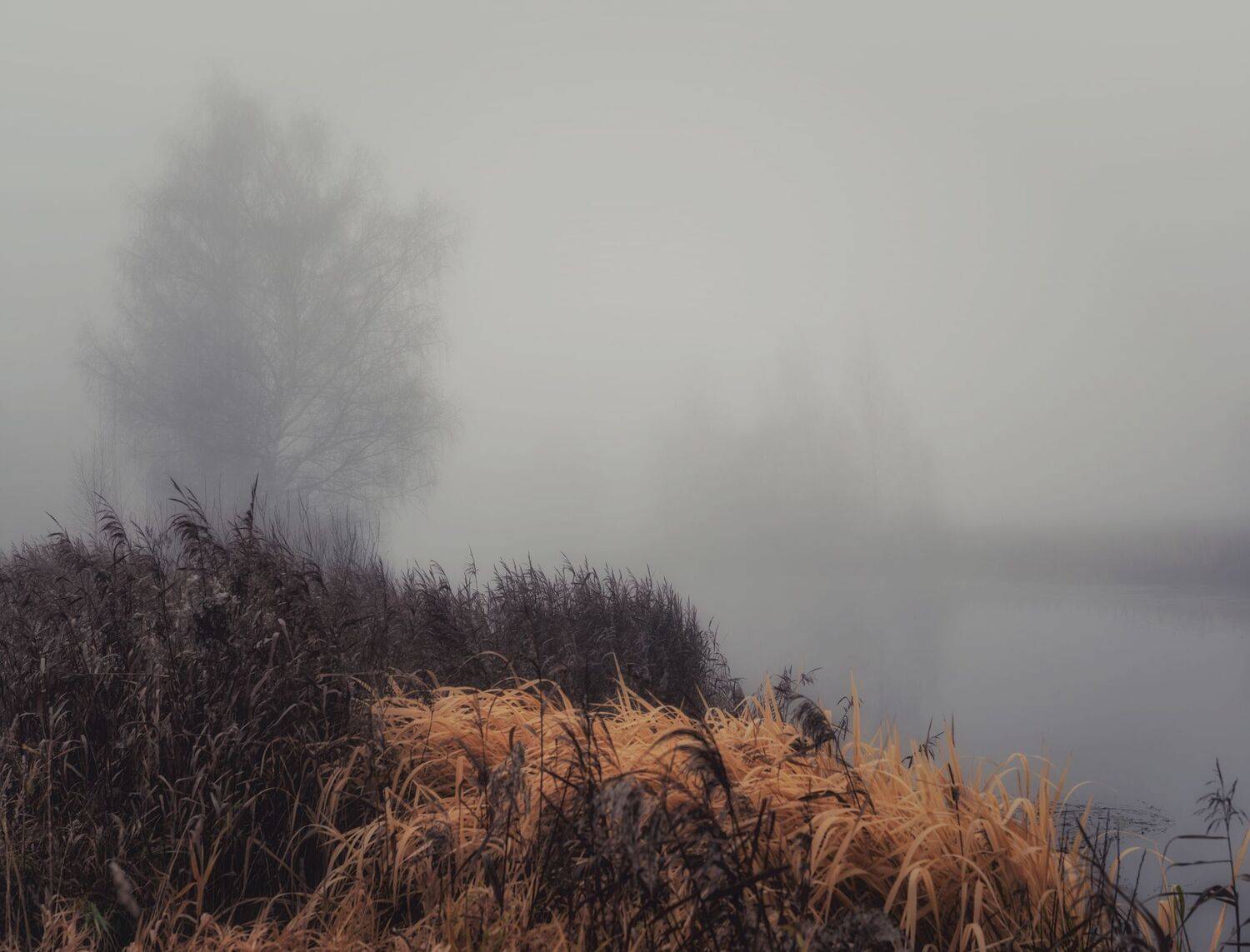 , Константин Дэм