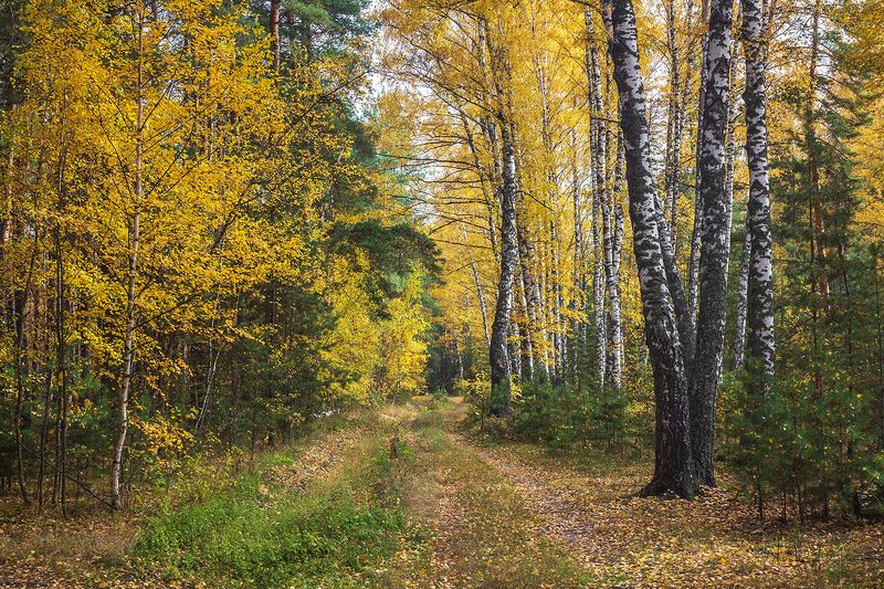 осень, октябрь  фото превью
