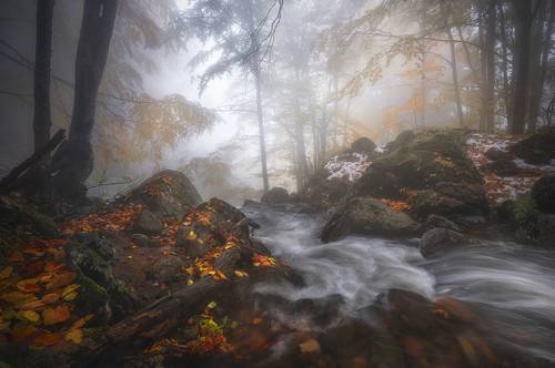 One foggy autumn day