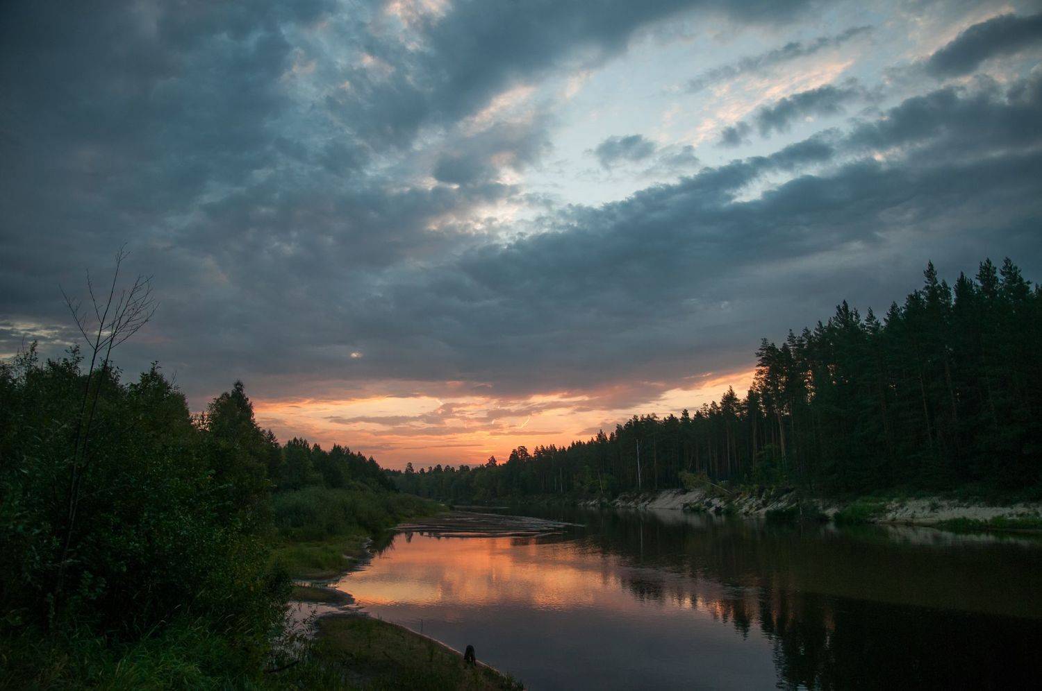 , Зуйкова Динара