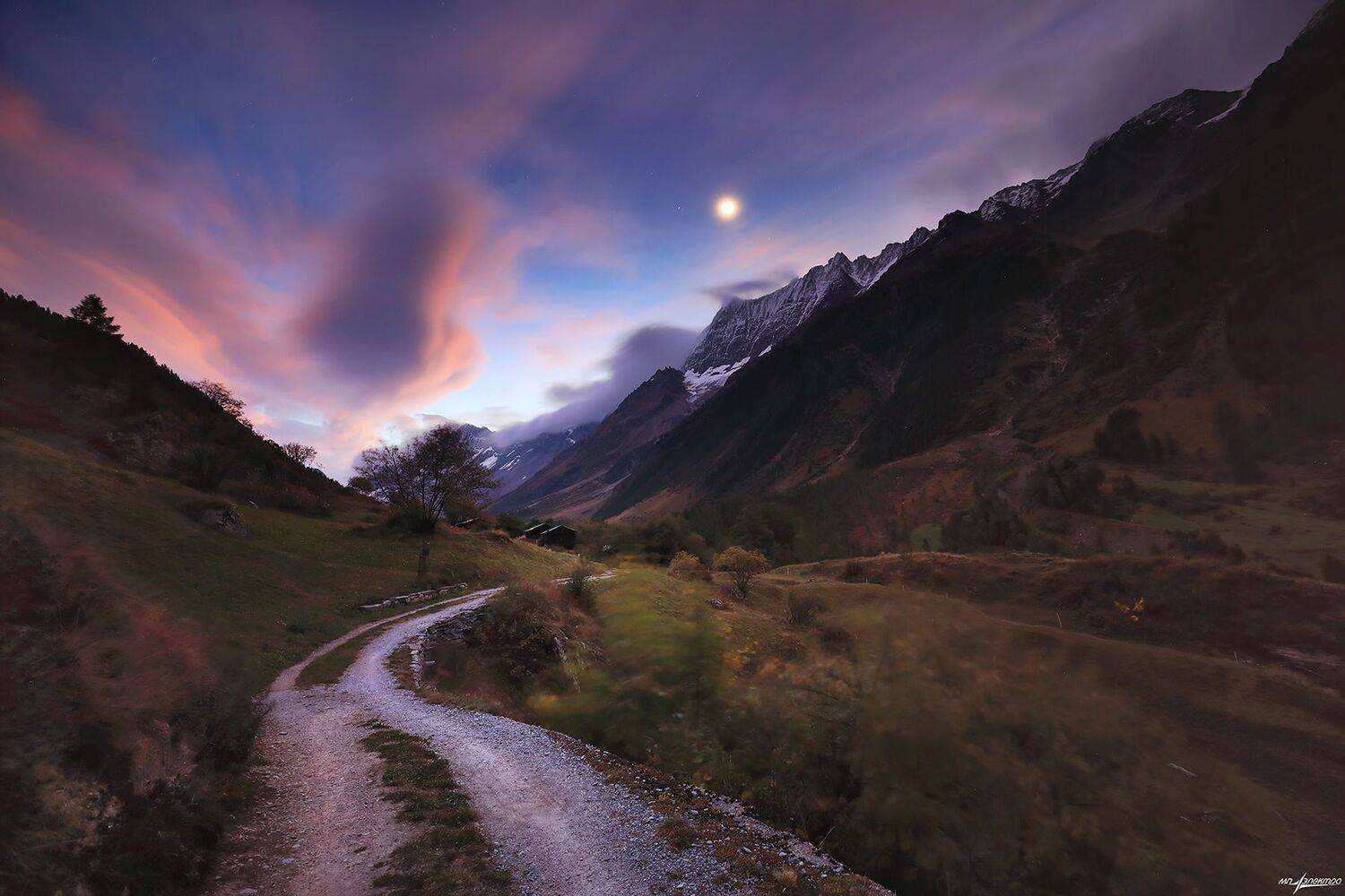 swiss, Матвеев Николай