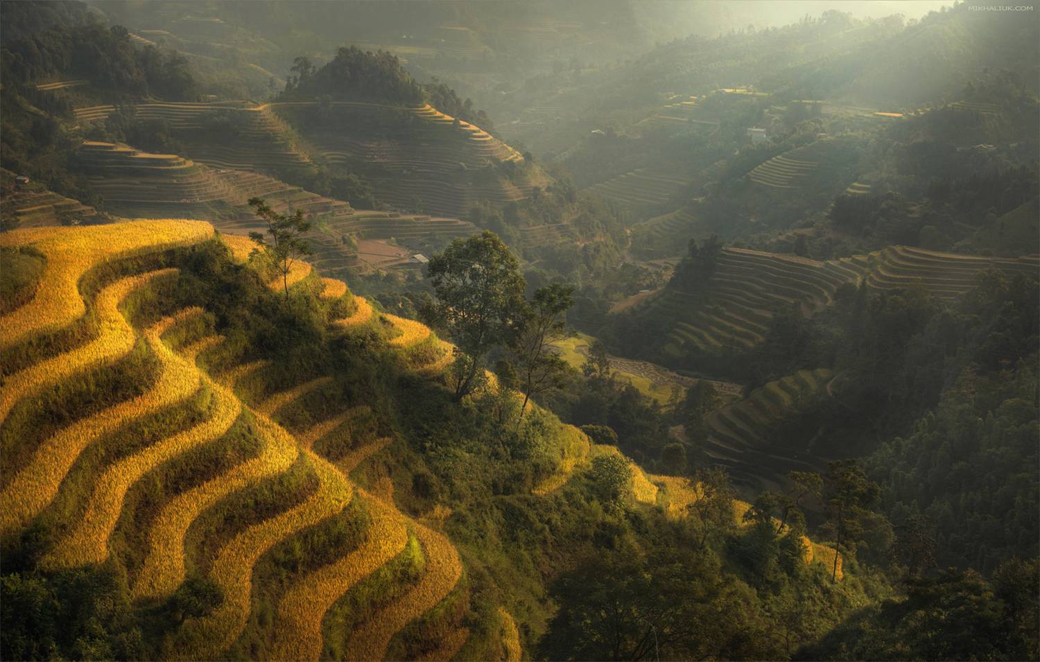 , Михалюк Сергей *