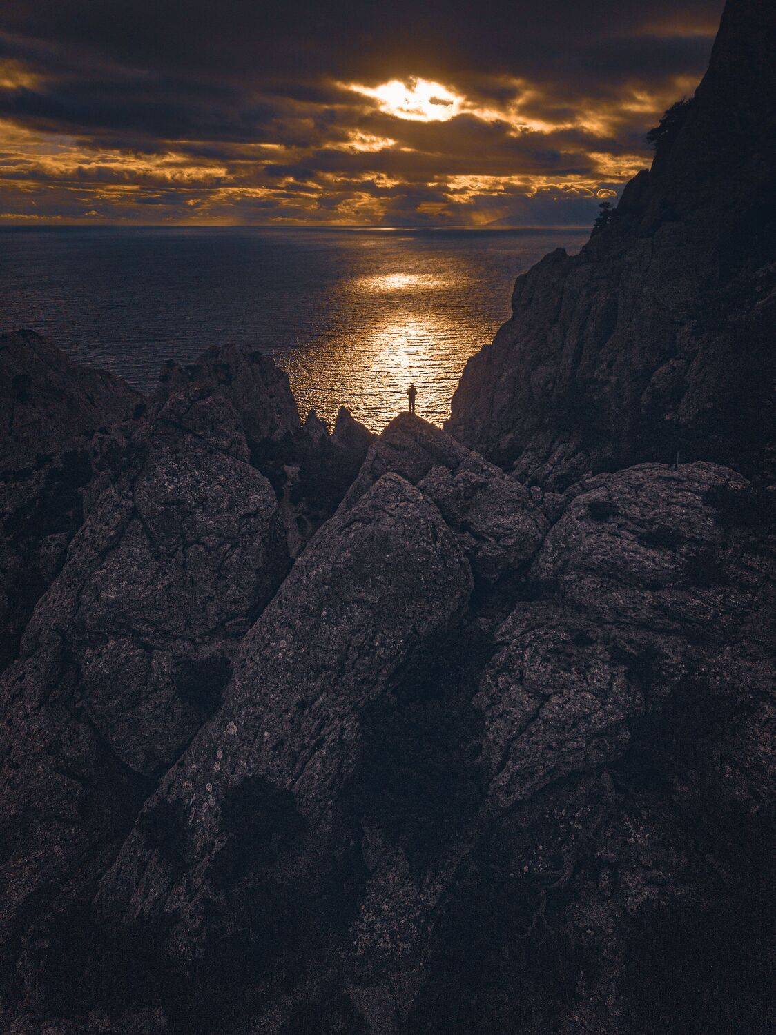 , Андрей Кривцов