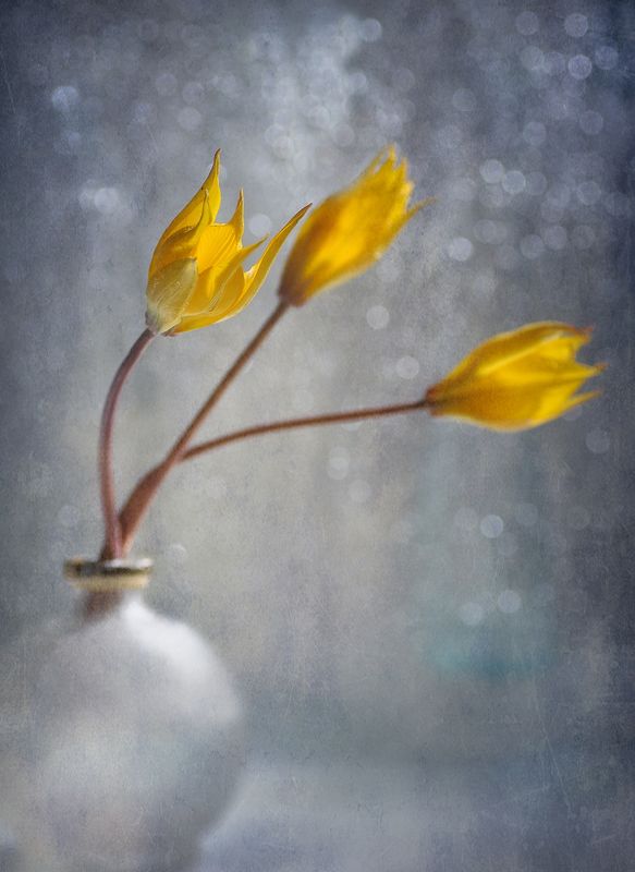 О чем они молчат? фото превью