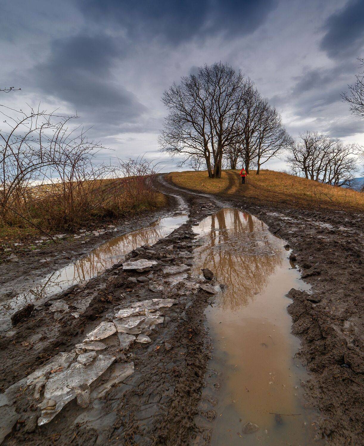 осень, дорога , лужа , отражение, Валерий Одинцов