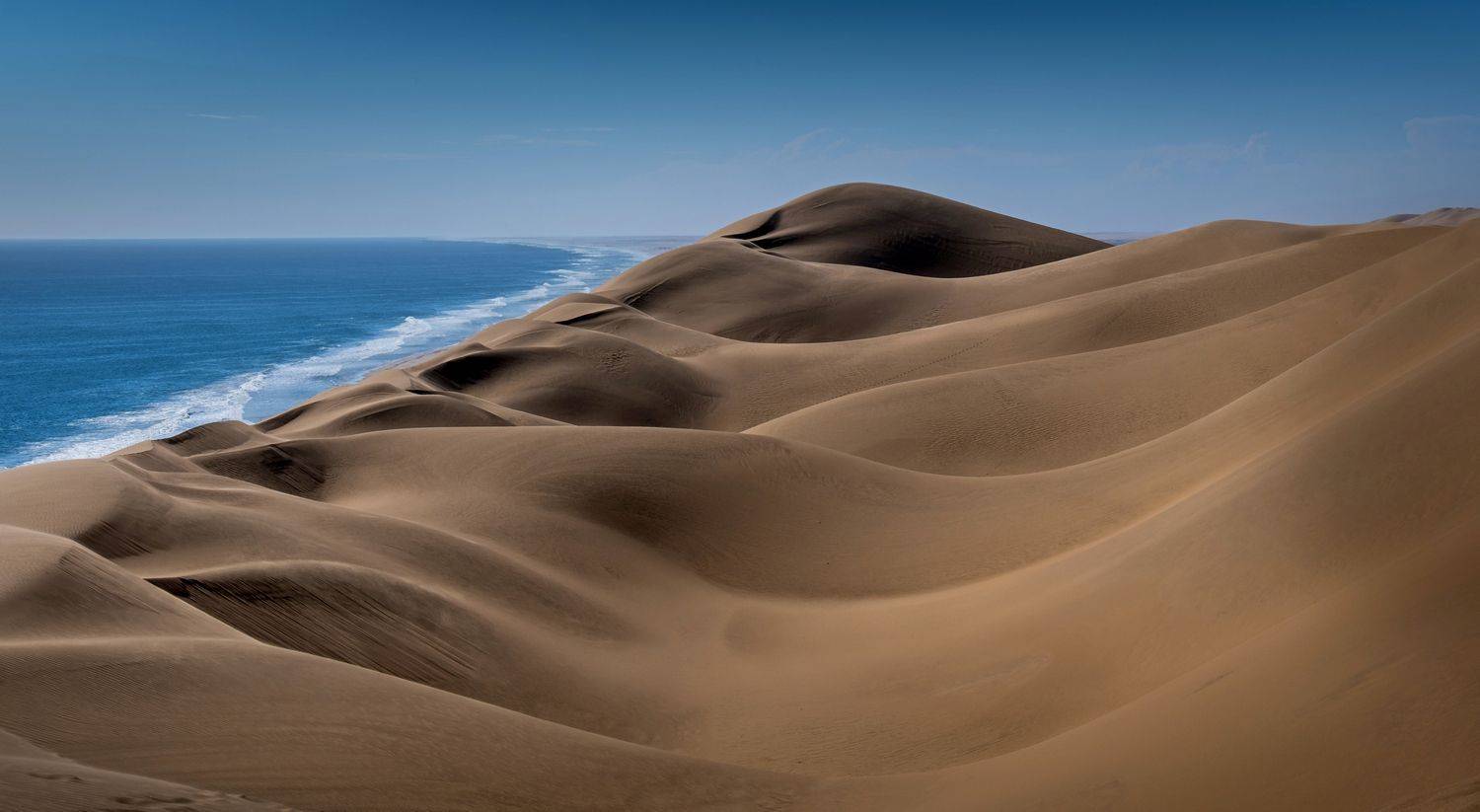 намибия, дюны, песок, намиб, бархан, dunes, sand, namib, desert, dune, пустыня, природа, намибия 2021, нд, africa, африка, Демкина Надежда