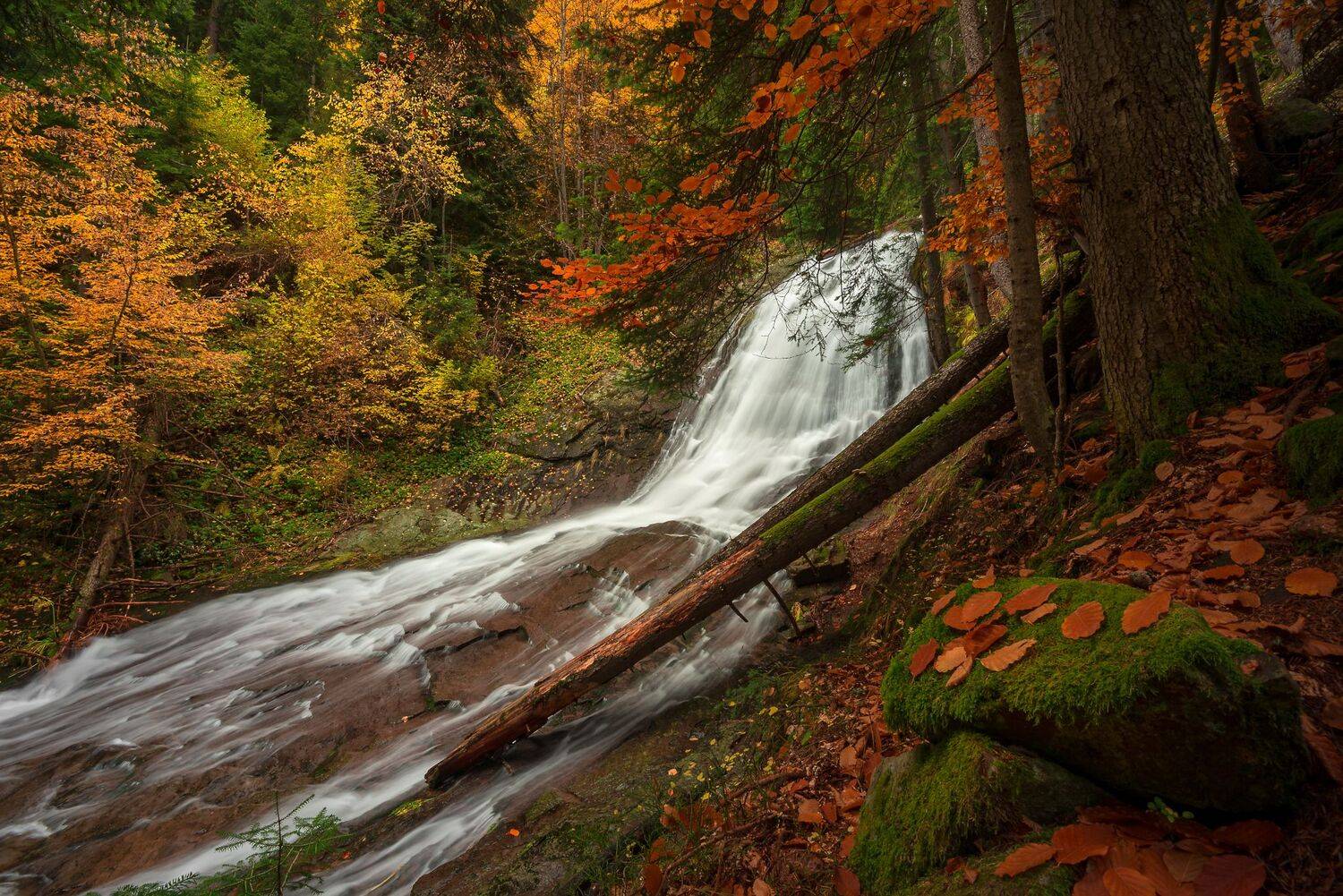 , Mariyana Atanasova - Lucero