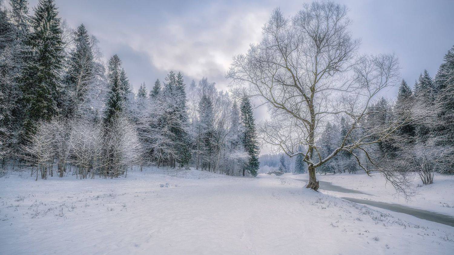 павловск река лед снег зима вечер мороз, Скороходов Константин