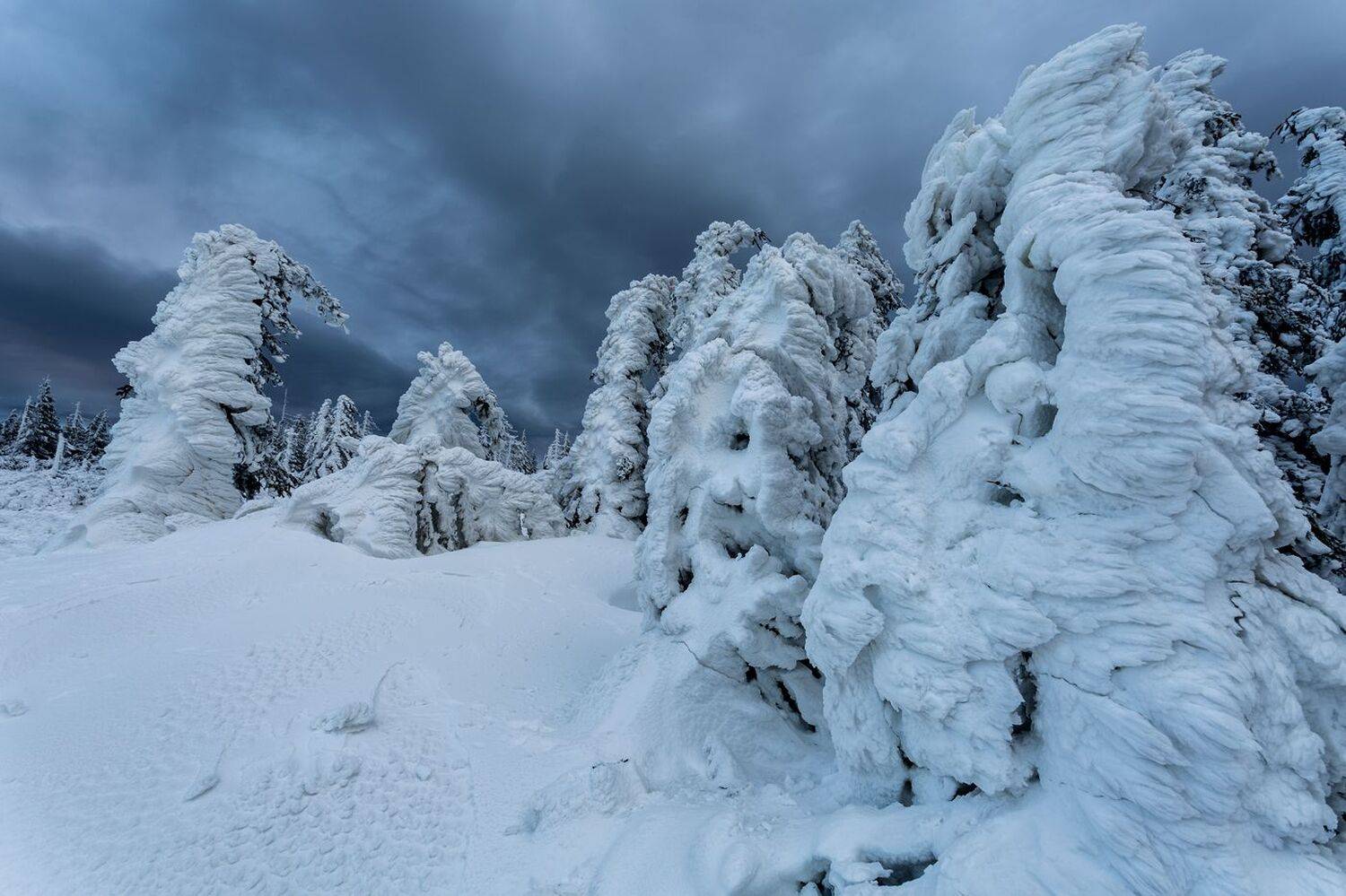 landscape,winter,mountains,canon, Iza i Darek Mitręga