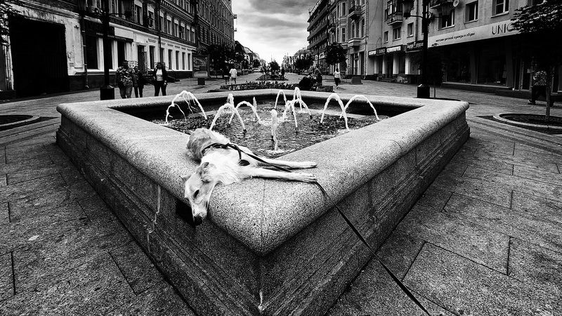 *** фото превью