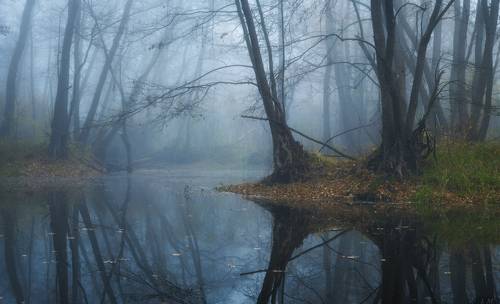 In the deep of autumn ..