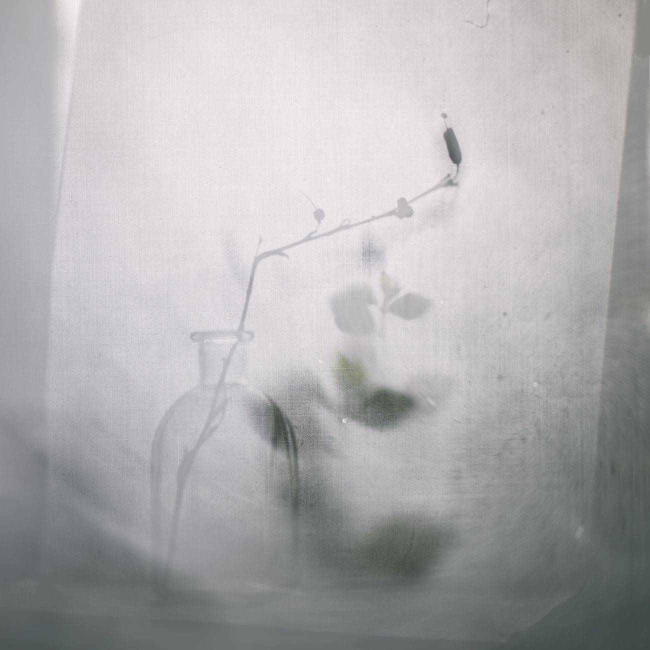 #haruhisacamera, Татьяна Аверина