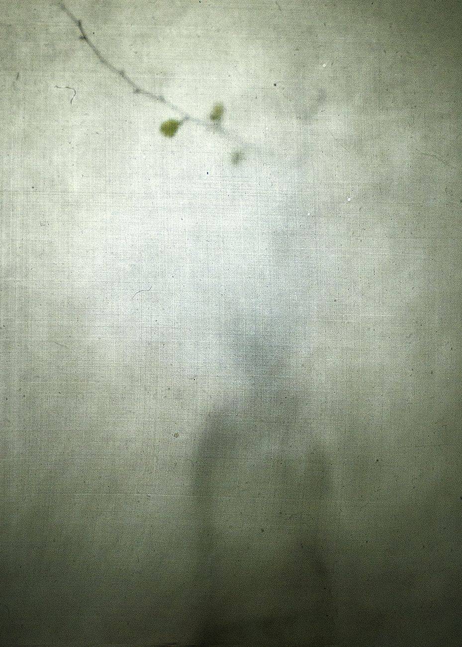 , Татьяна Аверина