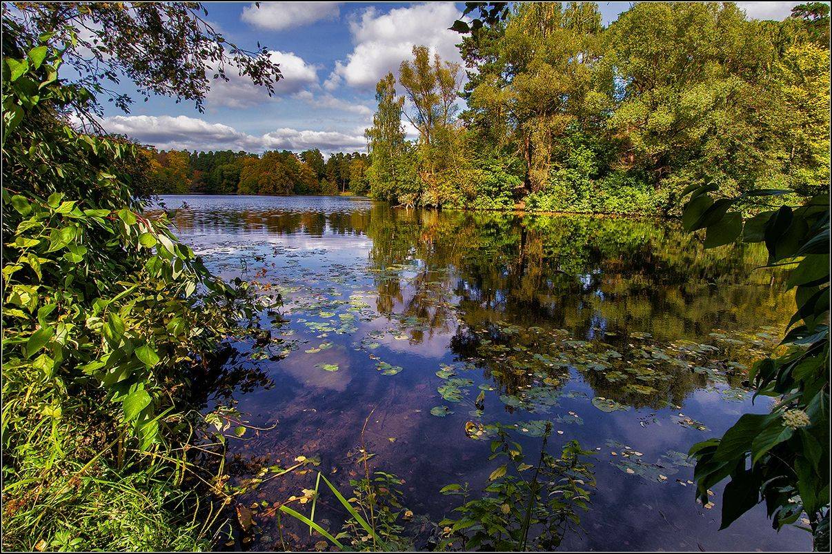 москва, осень, озеро, лес, отражение, АНАТОЛИЙ ДОВЫДЕНКО