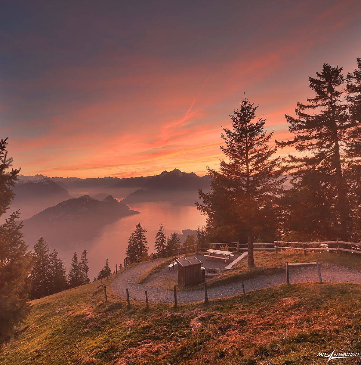 swiss, Матвеев Николай
