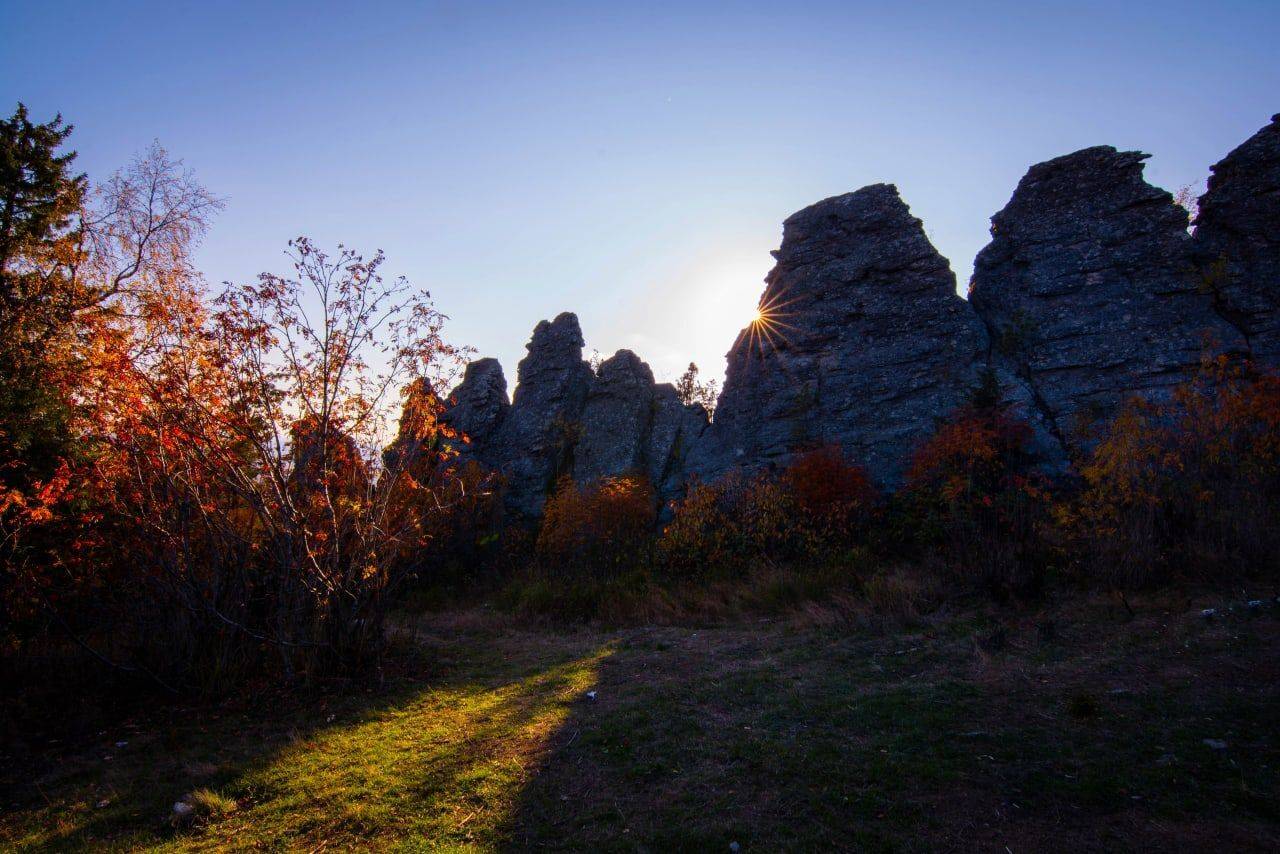 , Максим Ватрушкин