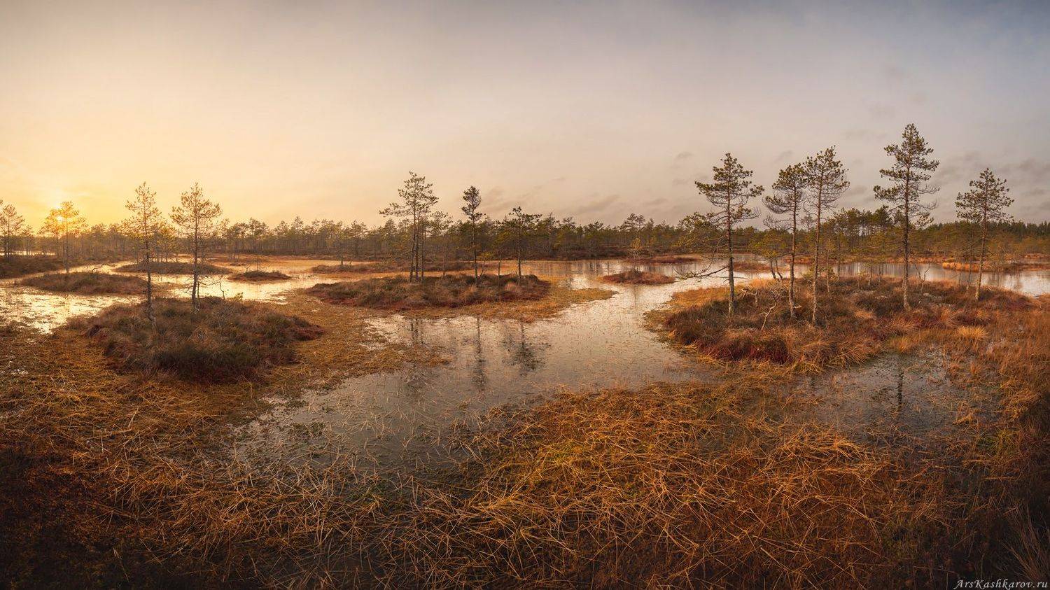 непроходимое болото, мочажина, топь, осень на болоте, межсезонье, Арсений Кашкаров