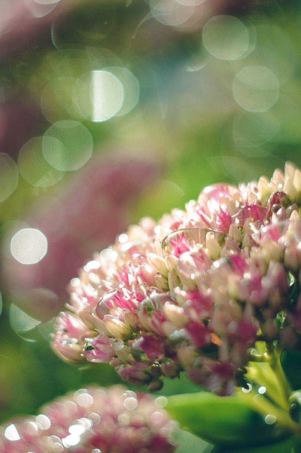 , Зуйкова Динара