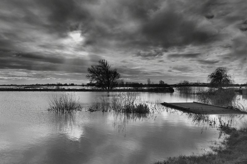 My region. фото превью