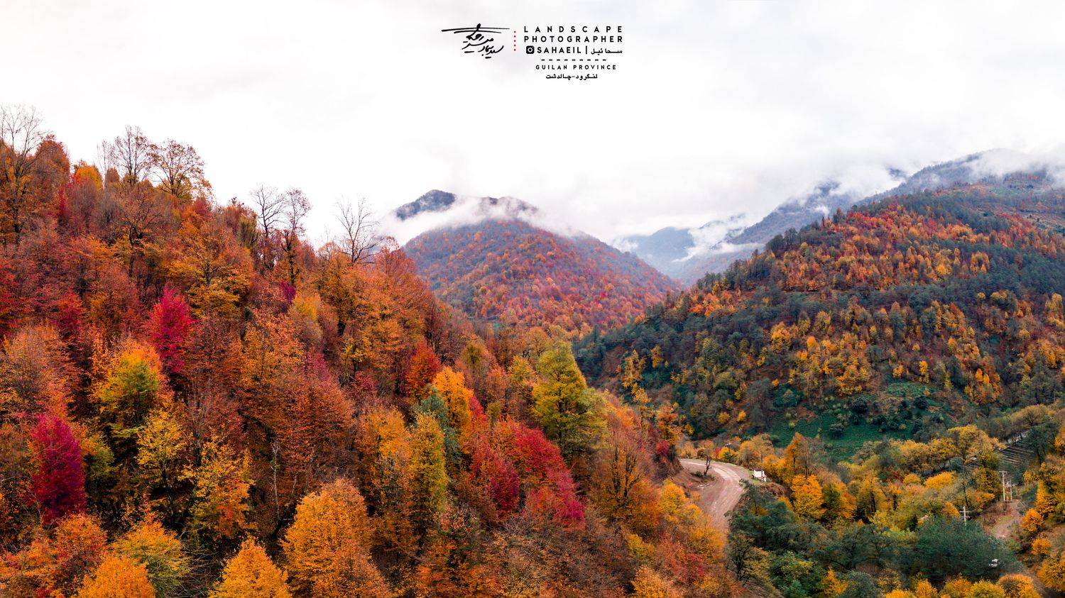 , Seyad Sajad Mirrahimi Daryasari