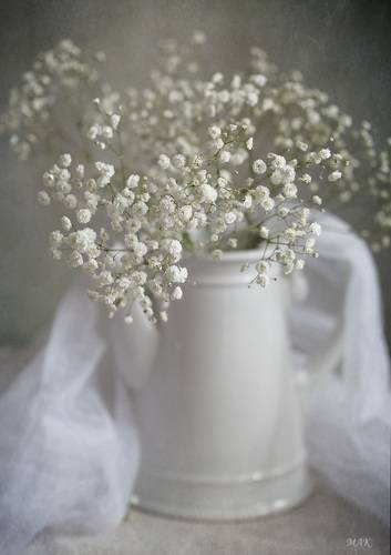 Жемчужинки