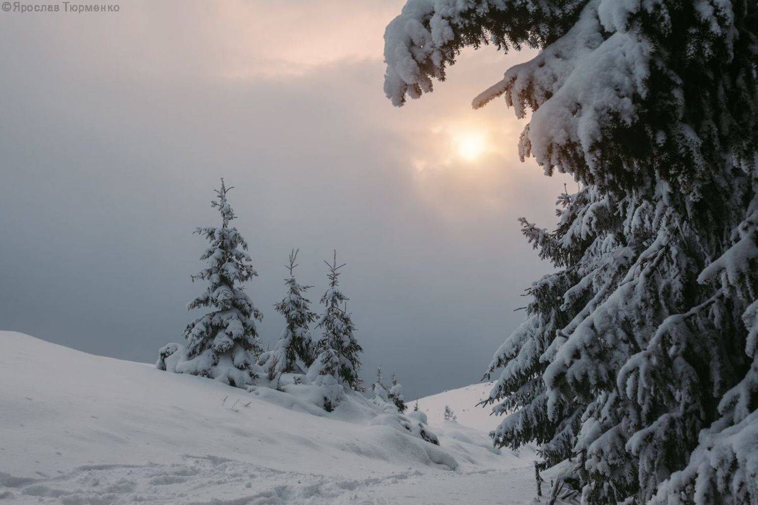 , Ярослав Тюрменко (Jaremi)