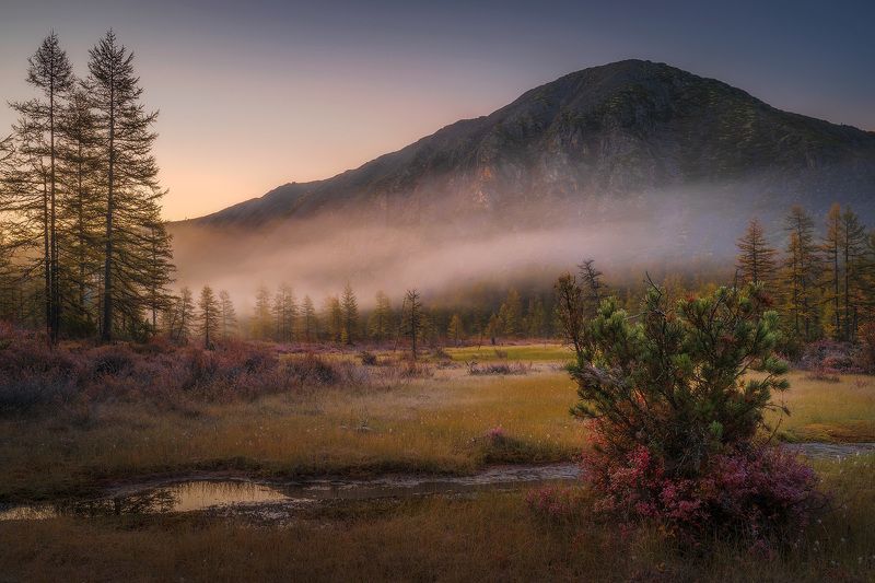 Утренний туман фото превью