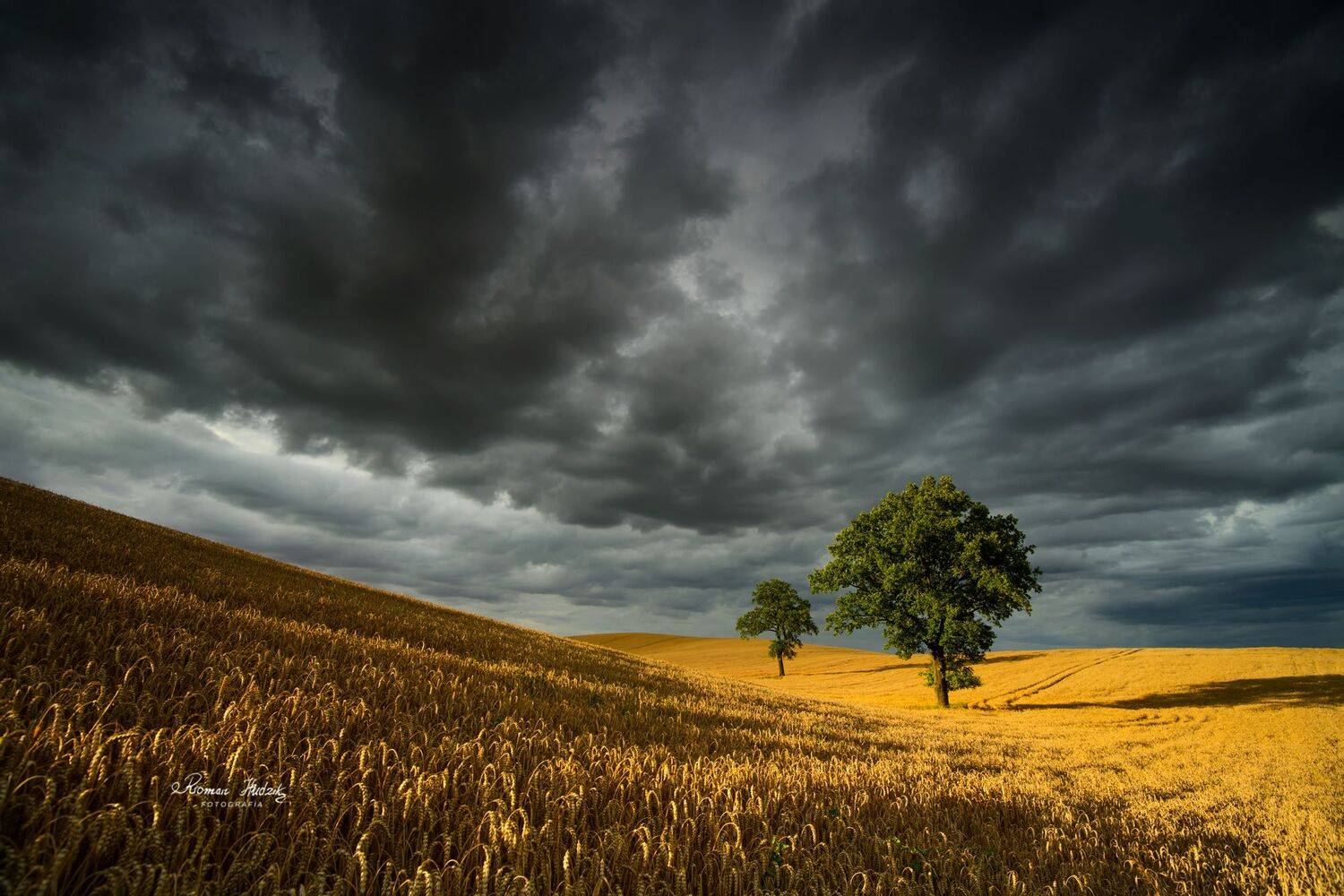   Clouds, landscape, fields, sky,, Roman Hudzik