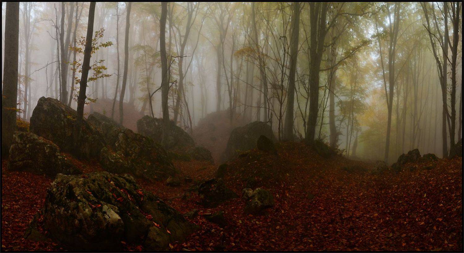 , Владимир Метцгер