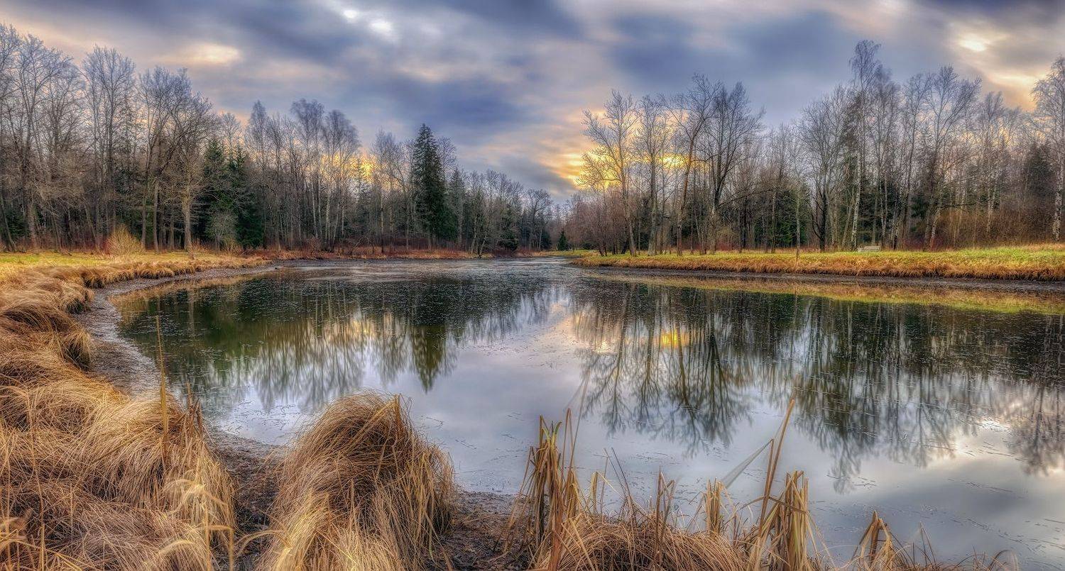 царское, село, пушкин, пруд, осень, ноябрь, закат, Скороходов Константин