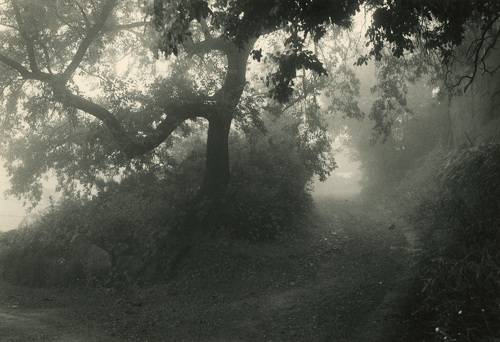 Go up through the fog