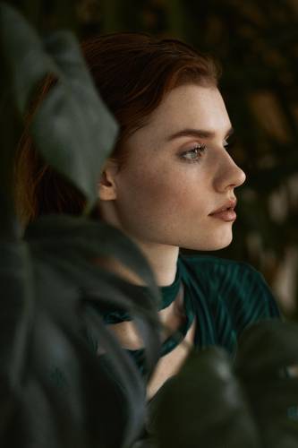 jungle