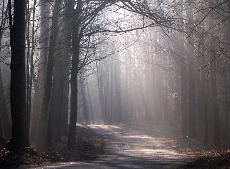 morning light... фото превью