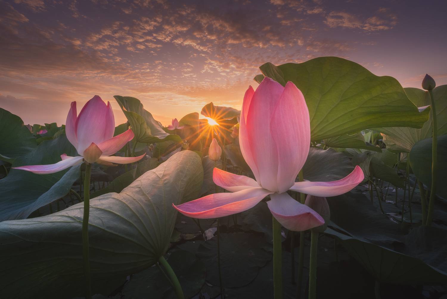 Волга, Астрахань, Даниил Коржонов