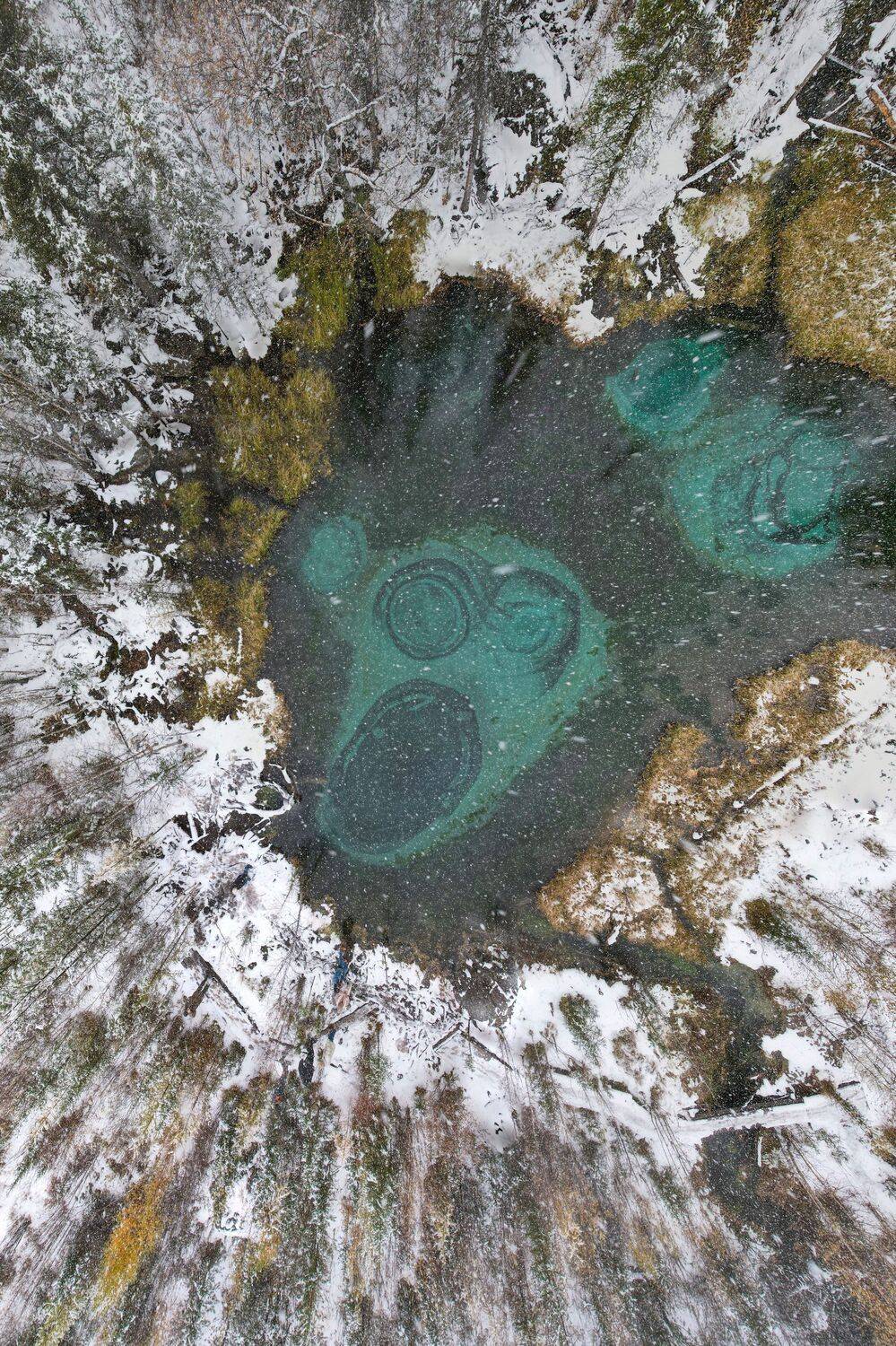 , Константин Буркин