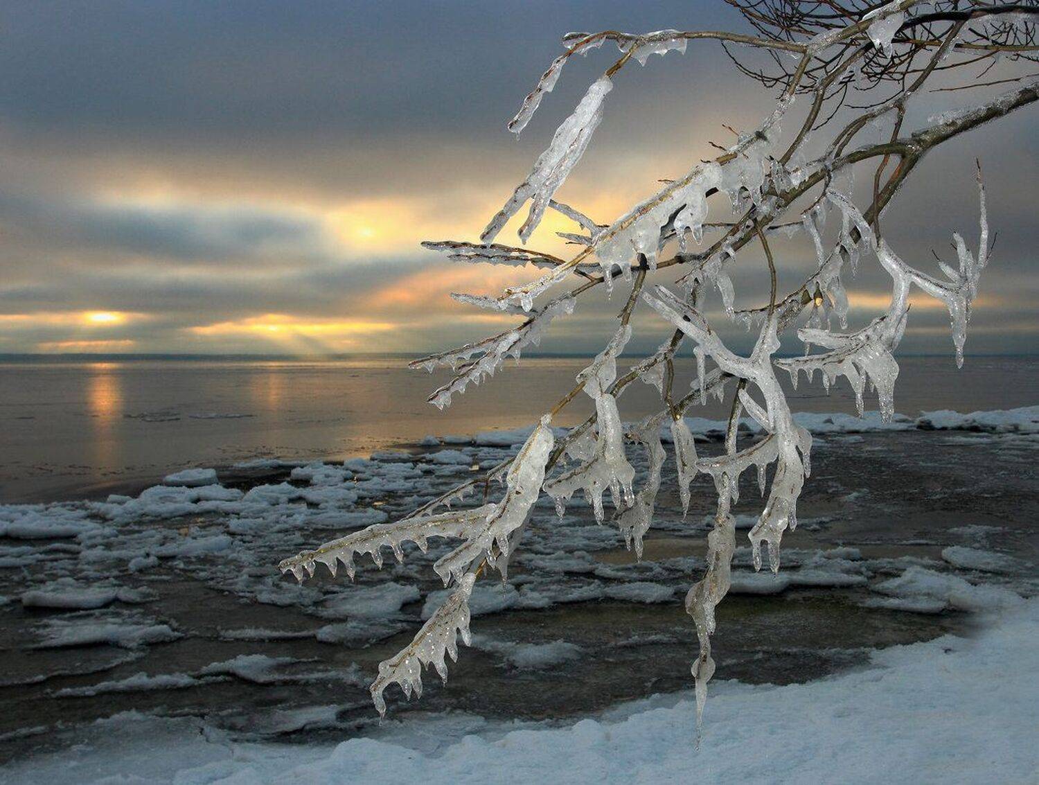 , Сергей Григорьев