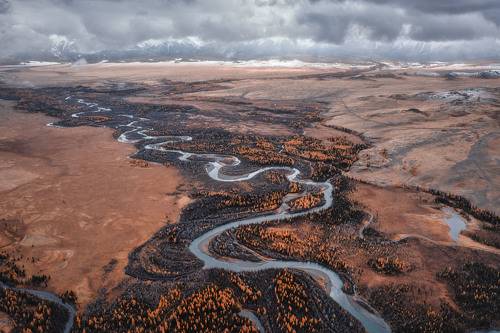 Чуя и осень