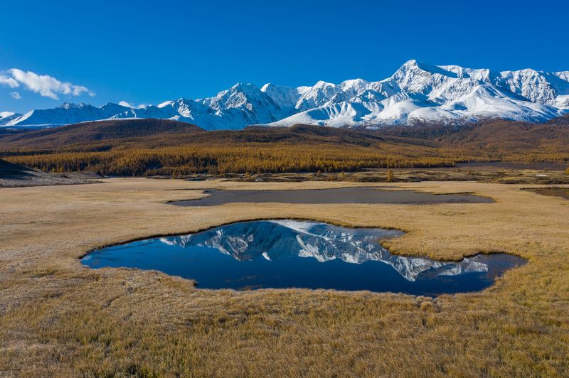 Алтай, горы, отражение, осень Алтайские отражения фото превью