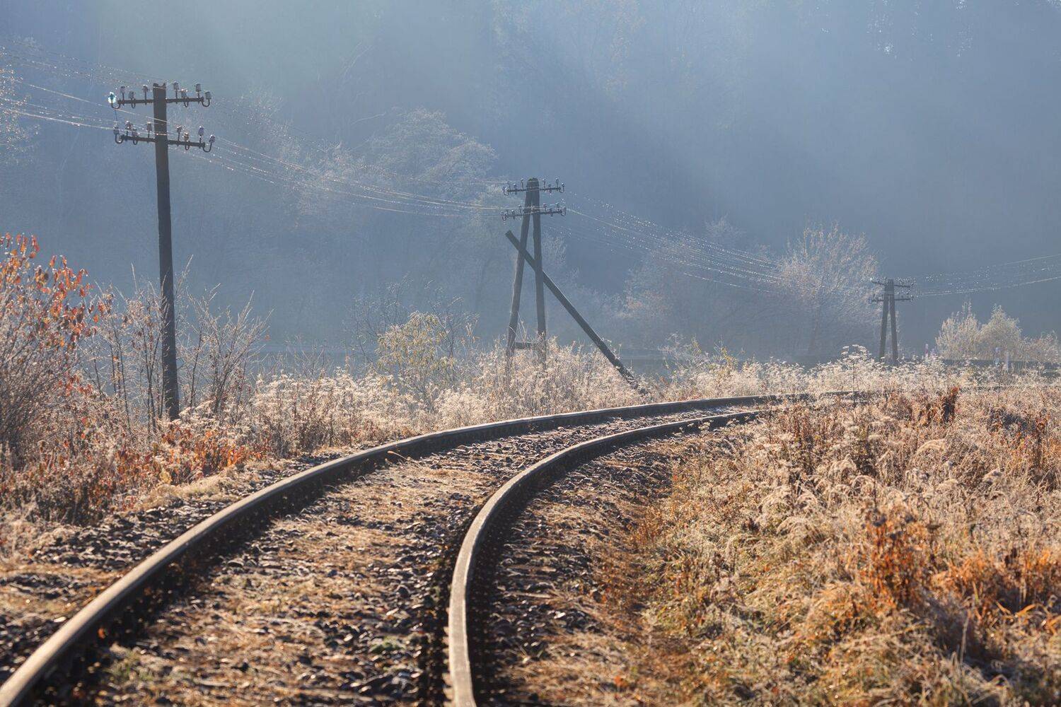 ,  Mirosław Pruchnicki