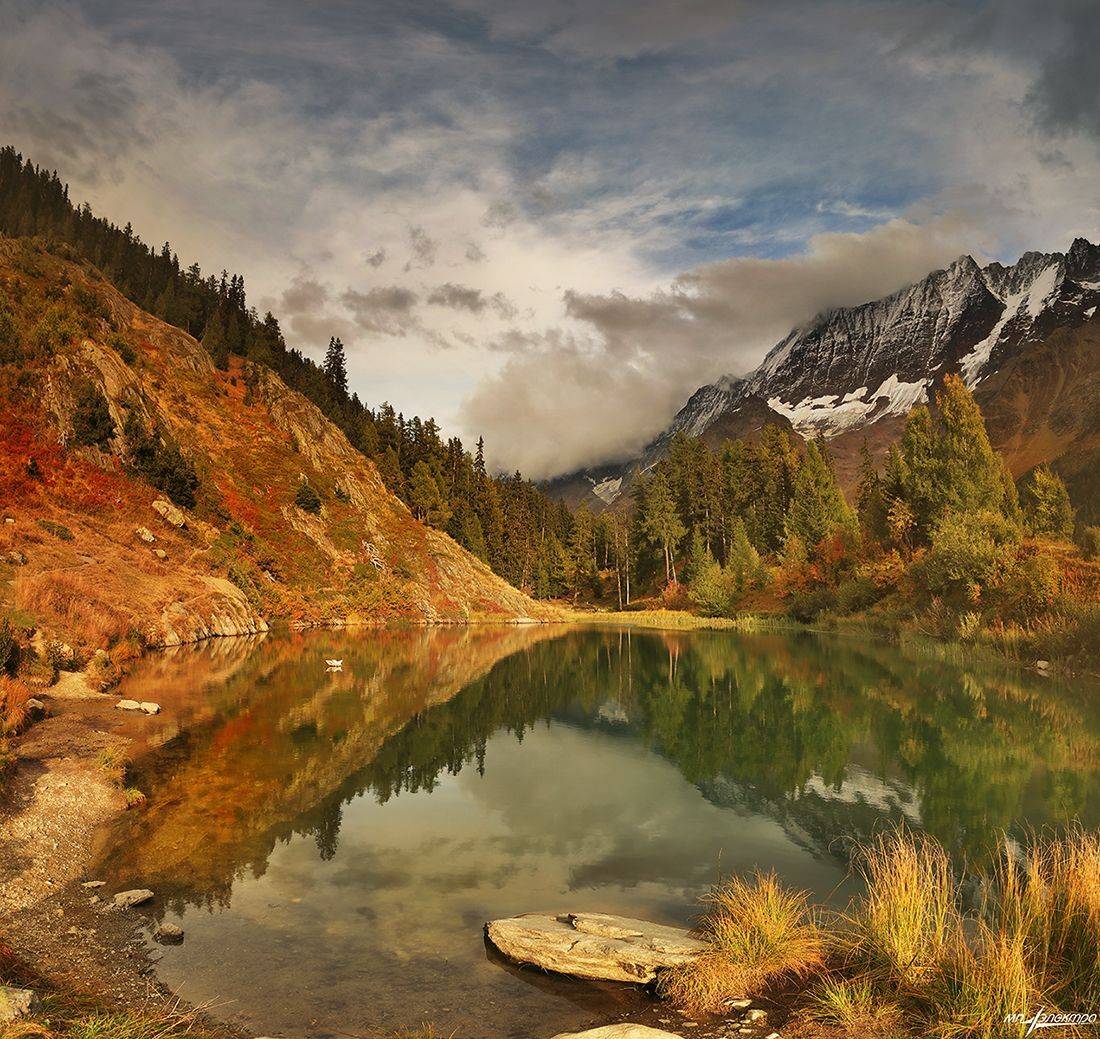 swiss, Матвеев Николай